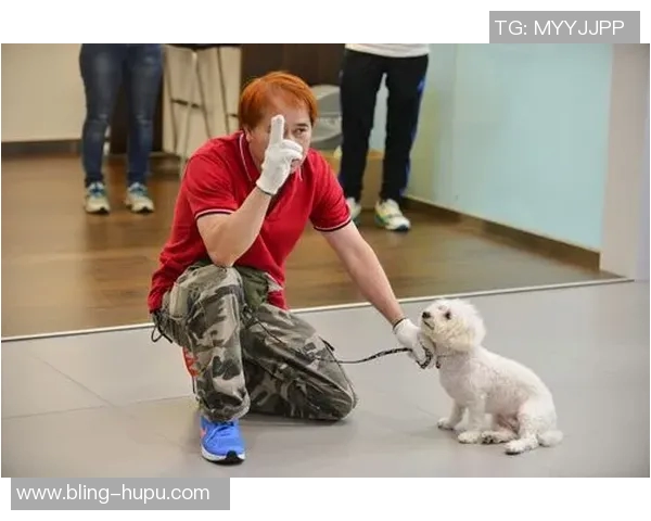 悬赏金激增至两万美元拉姆塞全力寻回心爱爱犬